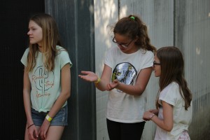 IMG_9334