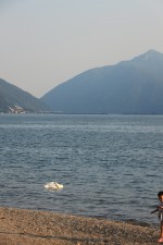 IMG_9350