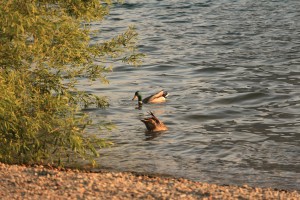 IMG_9405